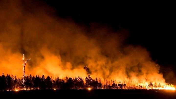 Picture of the large fire consuming trees.